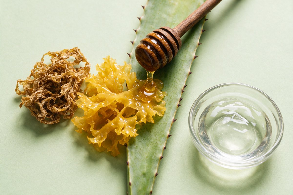 Irish sea moss, agave and honey, the natural extracts in the L'emarie Styling Gel